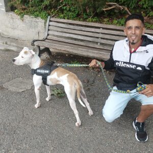 Photo de profil de Kader Maameri