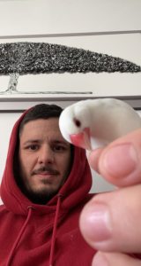 Photo de profil de Kevin Mencarelli