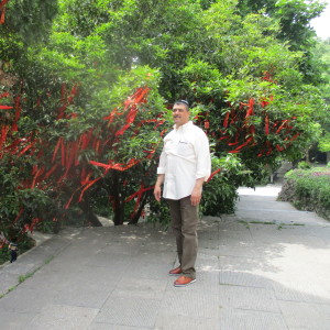Photo de profil de Khaled Ben Alaya