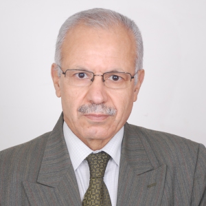 Photo de profil de Khaled Mtimet