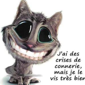 Photo de profil de Laetitia Boils