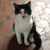 Photo de profil de Laure Durupt