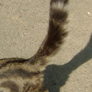 Photo de profil de Laurence Le Moine