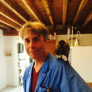 Photo de profil de Laurent Daffos