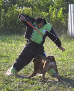 Photo de profil de Laurent Hernandez
