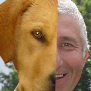 Photo de profil de Laurent Thillou