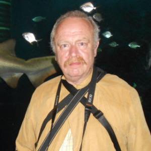 Photo de profil de Laurent Veingartner