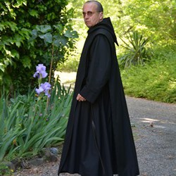 Photo de profil de Laurent Viven