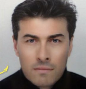 Photo de profil de Laurent van Meenen