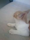 Photo de profil de Lili Donnefort