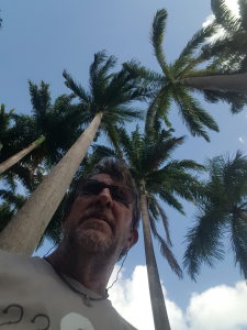Photo de profil de Luc Rapp