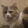 Photo de profil de Lucette Ducousso