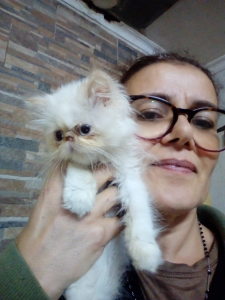 Photo de profil de Lucia Alves