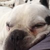 Photo de profil de Macis Alex