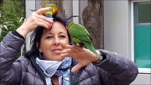 Photo de profil de Magali Rieumal