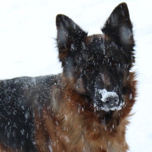 Photo de profil de Magalie Pialot