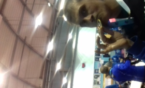 Photo de profil de Mahmood Tariq