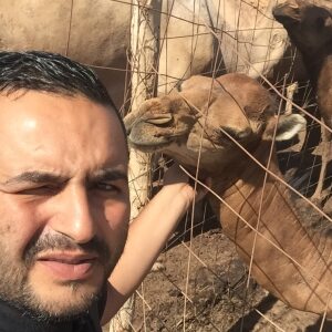 Photo de profil de Mansour Hamdoud