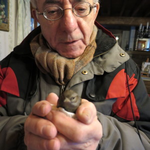 Photo de profil de Marcel Tournemeule