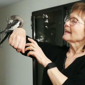 Photo de profil de Margaret Colominas