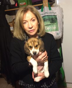 Photo de profil de Marie Claude Varin
