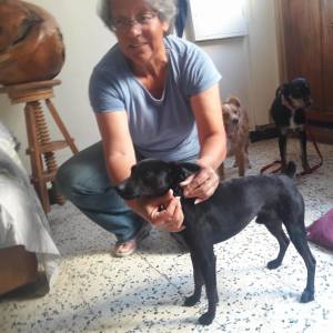 Photo de profil de Marie-Helene Bonifait
