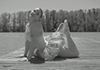 Photo de profil de Marie Lou Moine