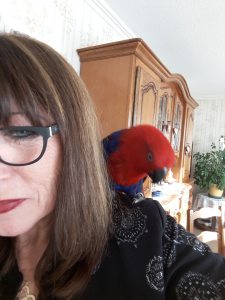 Photo de profil de Marie Odile Servy