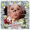 Photo de profil de Marie-Therese Bobbe