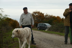 Photo de profil de Mario Massucci
