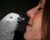 Photo de profil de Marlène Tennevin