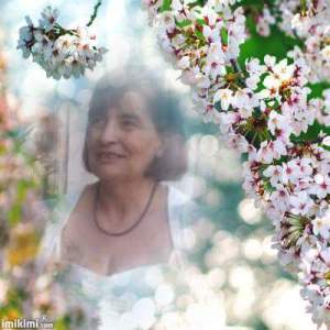 Photo de profil de Martine Benech