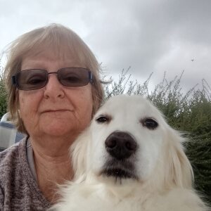 Photo de profil de Martine Desbouis