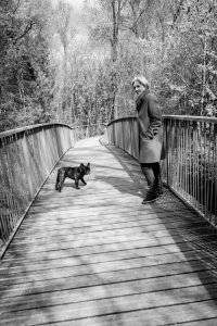 Photo de profil de Martine Lenoir-Schrenck