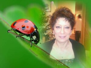 Photo de profil de Martine Winter