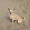 Photo de profil de Maryse Zazzali