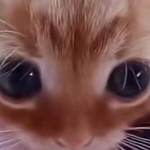 Photo de profil de Mathis Fleurent