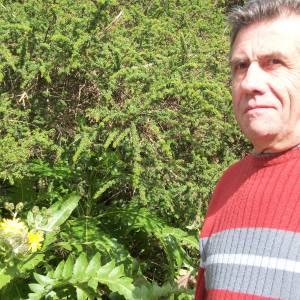 Photo de profil de Maurice Carpentier
