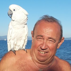 Photo de profil de Michel Brand