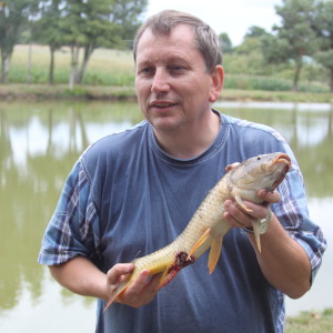Photo de profil de Michel Gouas