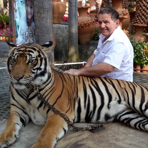 Photo de profil de Michel Thomasson