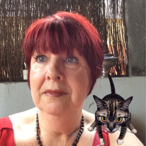 Photo de profil de Michele Chamfly