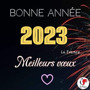 Photo de profil de Michèle Cuilhé