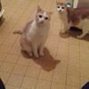 Photo de profil de Micheline Viallet