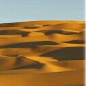 Photo de profil de Miloud Ali