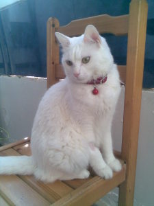 Photo de profil de Mimi Kasasni