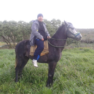 Photo de profil de Mohamed Boutarhat