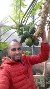 Photo de profil de Mohamed Mimouni