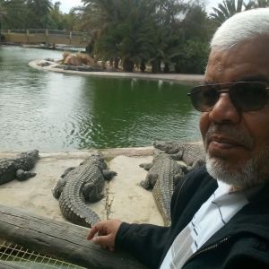 Photo de profil de Mokhtar Bououchema