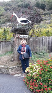 Photo de profil de Monique Fluhr